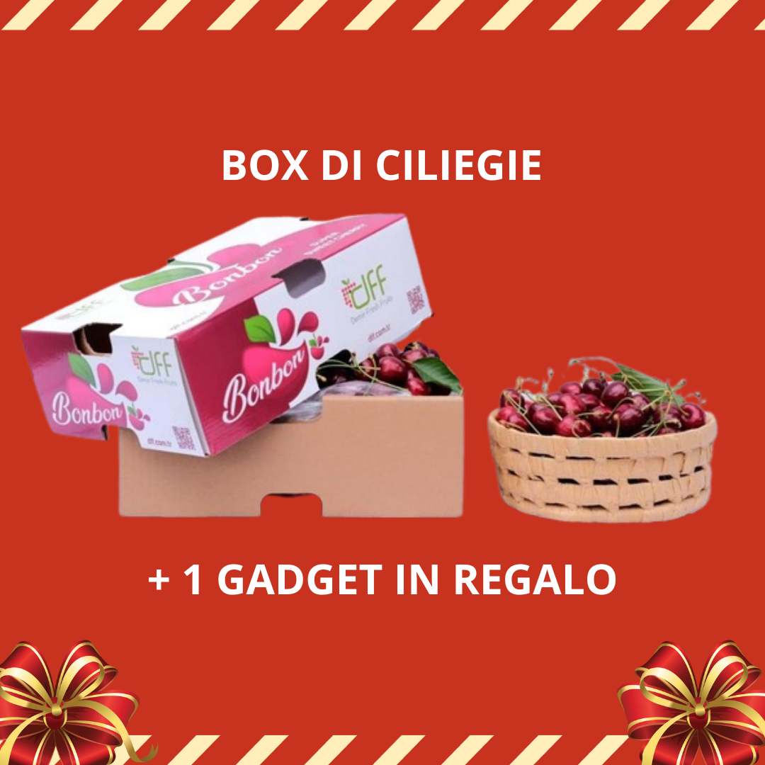 Ciliegie 1 box 2,5kg