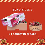 Ciliegie 1 box 2,5kg