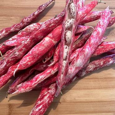 acquista fagioli borlotti online