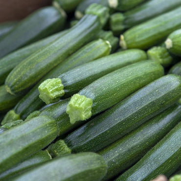 zucchine nere a domicilio